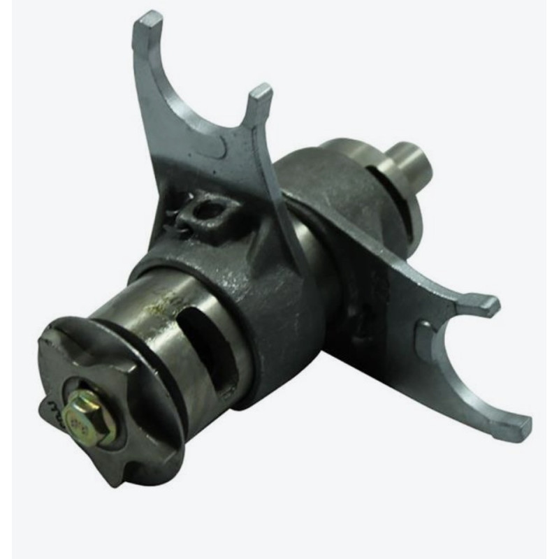 Desmo DAYTONA 150-190-212 4 marce