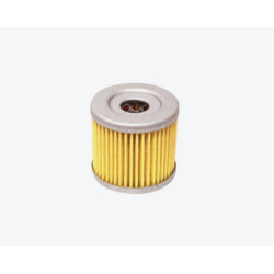 Filtro olio GPX 155 - ZS 155